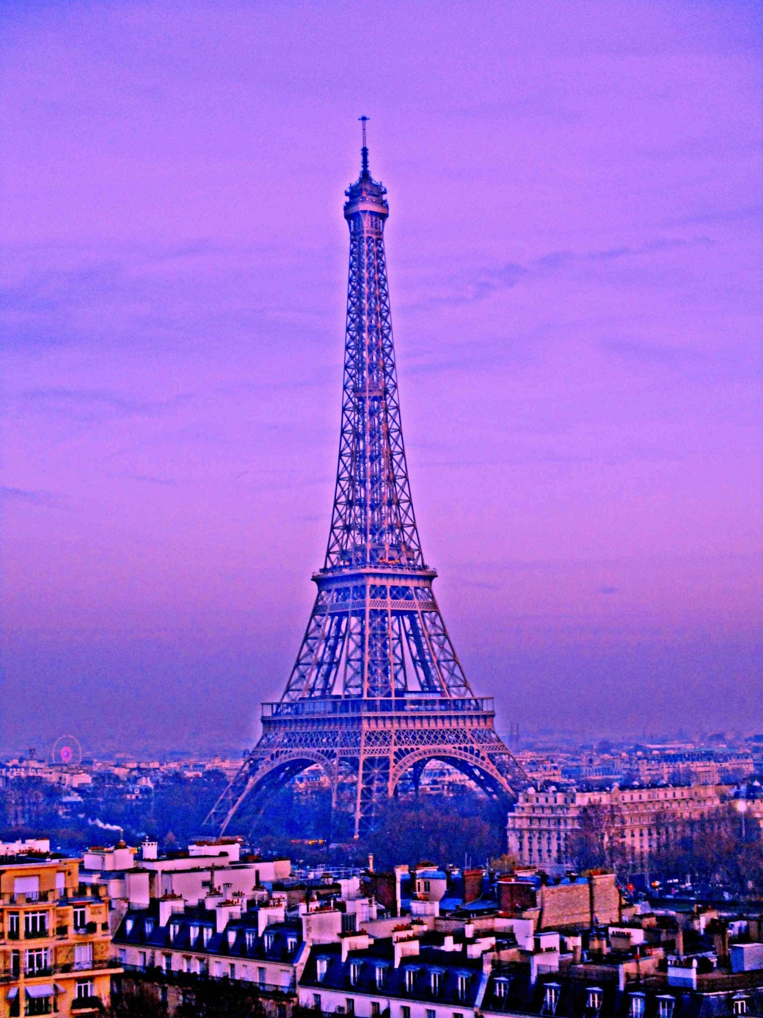 “EYEFULL TOWER” Sky's Gallery